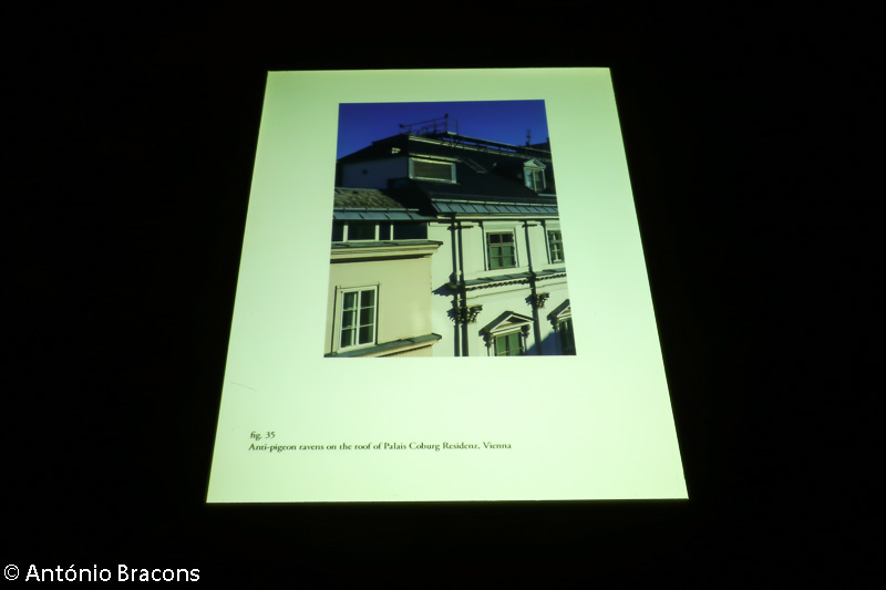 191204-Parallel Lisbon-Fot_A_Bracons (244)