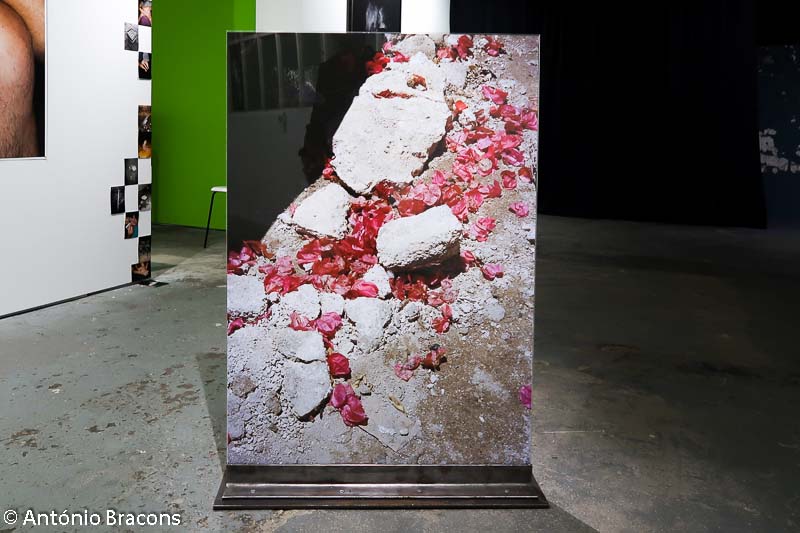 191204-Parallel Lisbon-Fot_A_Bracons (281)