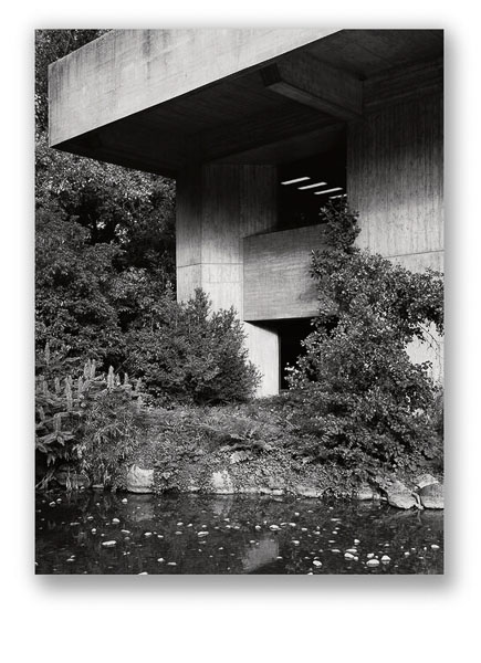 Andre Cepeda-Gulbenkian