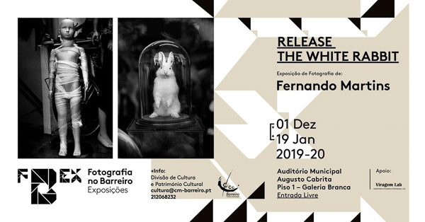 fernando_martins__002__1_1024_2500