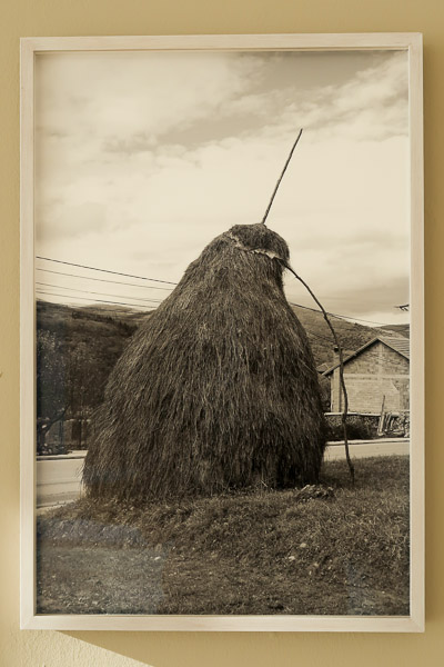 Quadrum-Alberto_Carneiro-2020_02-Fot_A_Bracons (21)