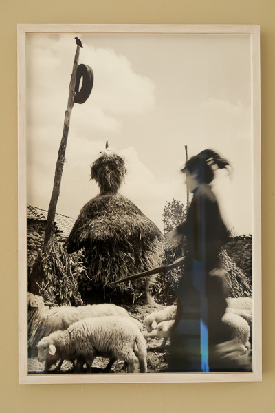 Quadrum-Alberto_Carneiro-2020_02-Fot_A_Bracons (23)