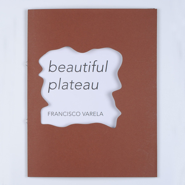 Beautiful plateau, Francisco Varela-1
