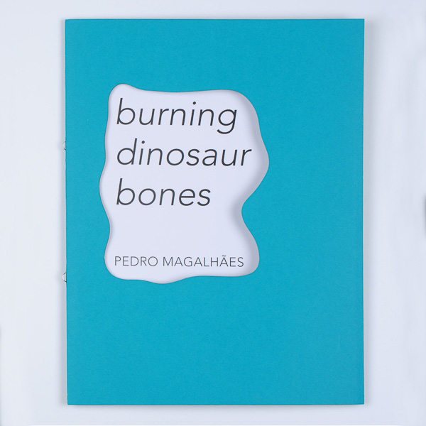 Burning dinosaur bones, Pedro Magalhães-1