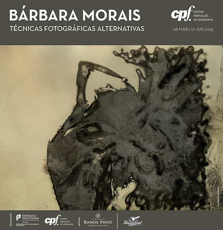 Esta imagem tem um texto alternativo em branco, o nome da imagem é barbara-morais-250308-2.jpg