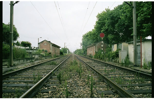 Esta imagem tem um texto alternativo em branco, o nome da imagem é carla-filipe-250120.jpg