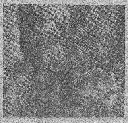 Esta imagem tem um texto alternativo em branco, o nome da imagem é delio-jasse-250322-2.jpg