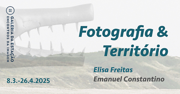 Esta imagem tem um texto alternativo em branco, o nome da imagem é fot-e-territ-250308.jpg