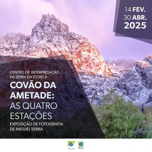 Esta imagem tem um texto alternativo em branco, o nome da imagem é miguel-serr-250214.jpg